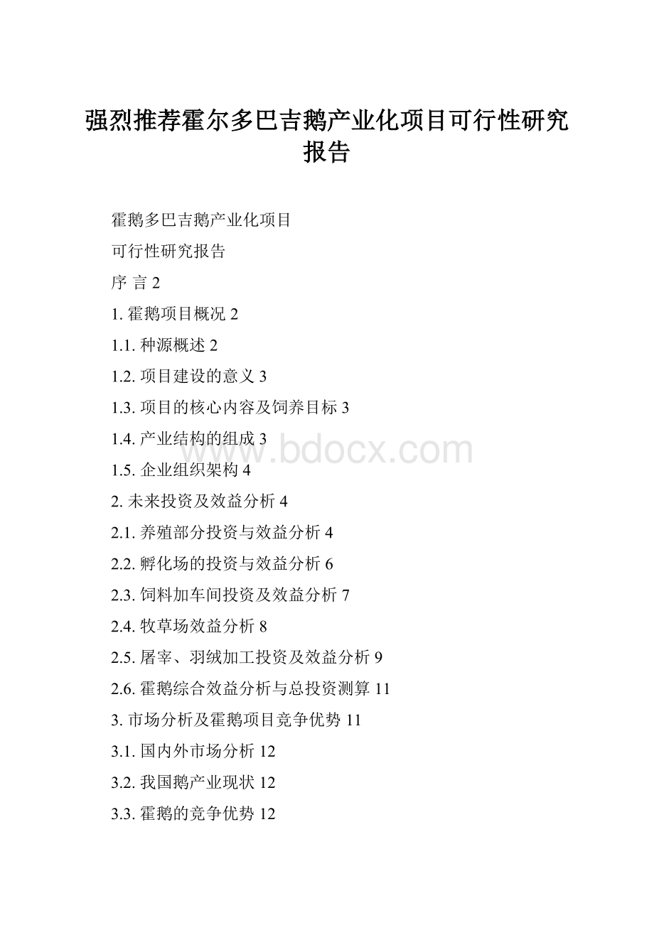 强烈推荐霍尔多巴吉鹅产业化项目可行性研究报告Word格式文档下载.docx