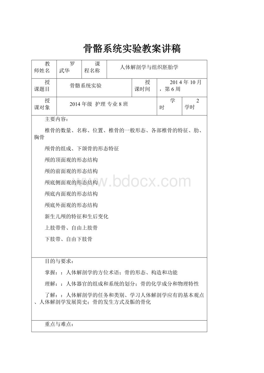 骨骼系统实验教案讲稿.docx