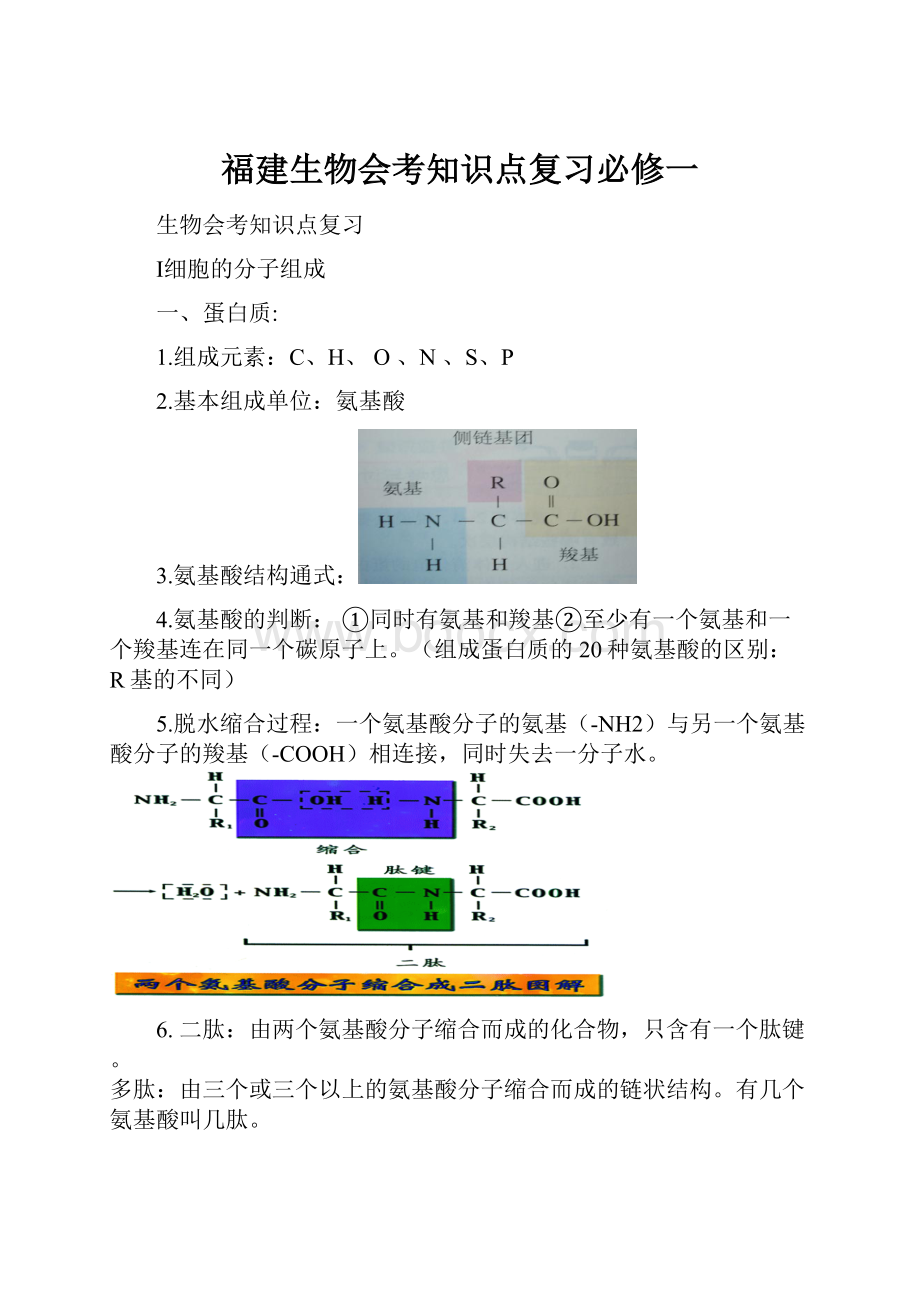 福建生物会考知识点复习必修一.docx