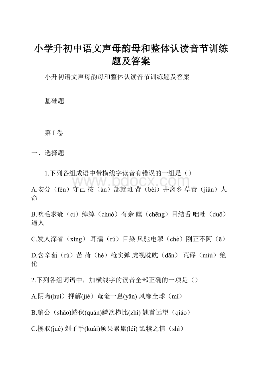 小学升初中语文声母韵母和整体认读音节训练题及答案Word文档格式.docx_第1页