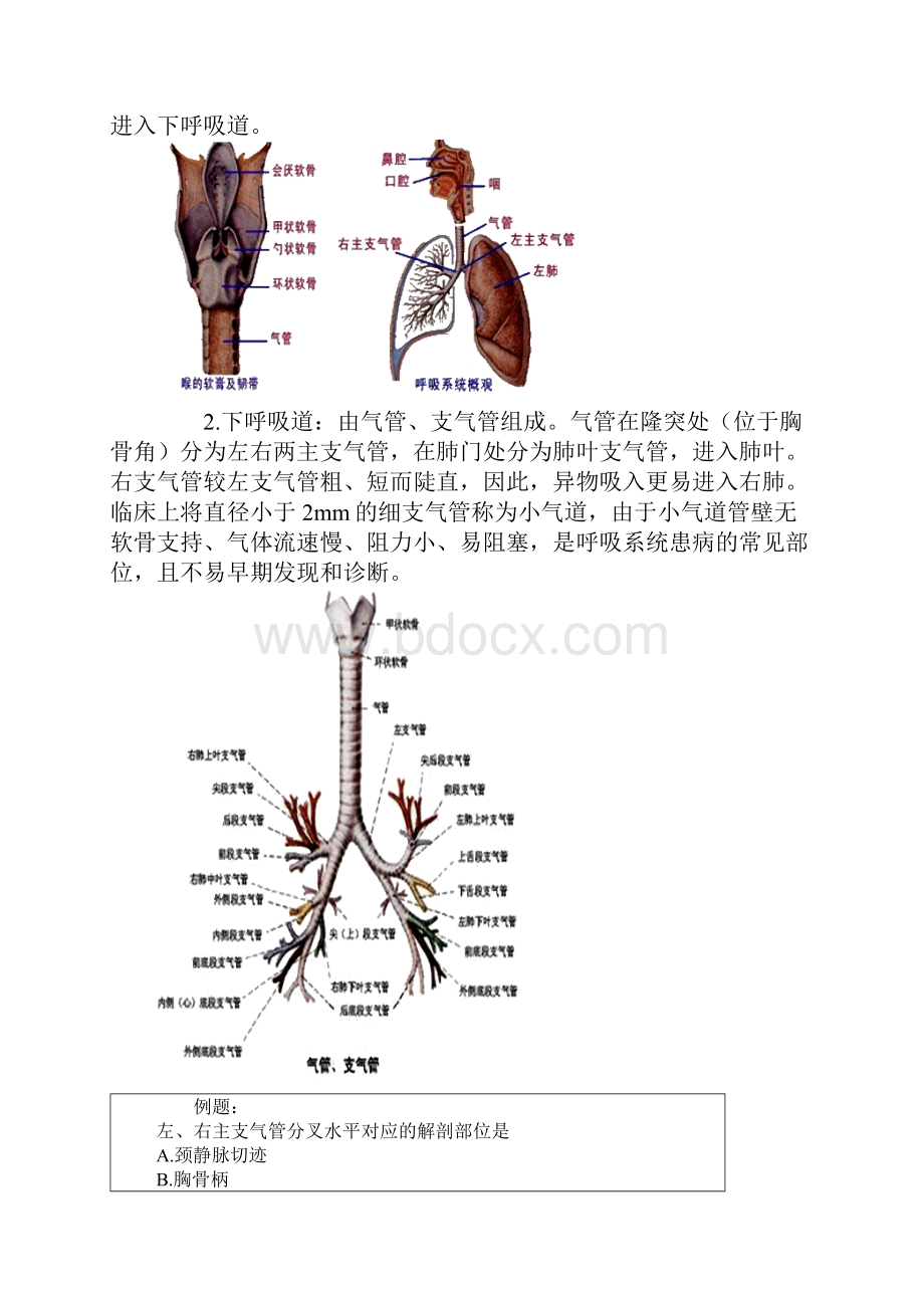 护士执业资格第四章呼吸系统疾病病人的护理讲义笔记Word格式.docx_第2页