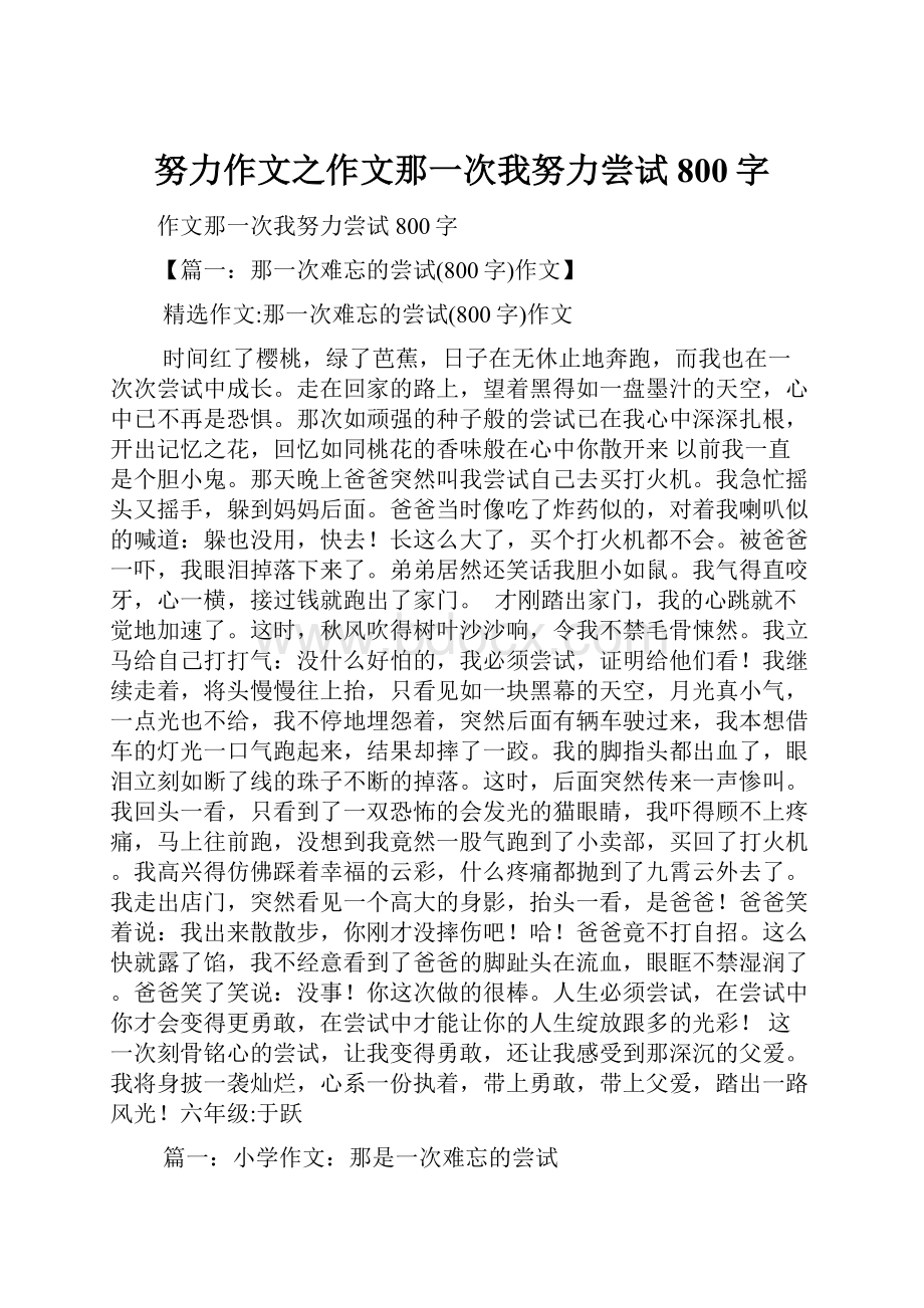 努力作文之作文那一次我努力尝试800字Word文档格式.docx