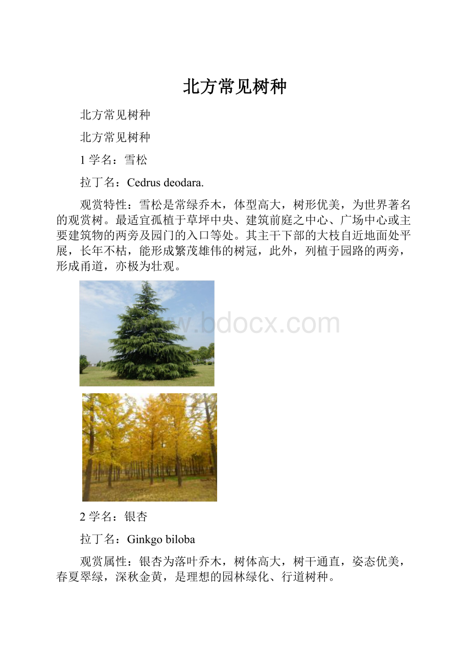 北方常见树种Word格式.docx_第1页