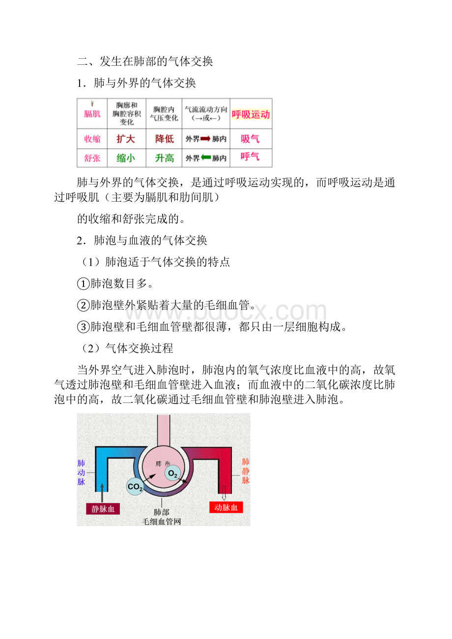 考点21 人体的呼吸备战中考生物考点一遍过Word格式.docx_第2页