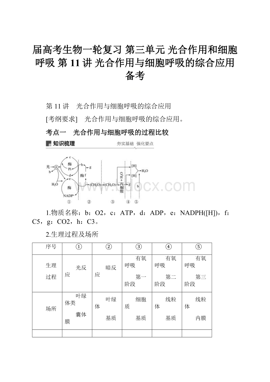 届高考生物一轮复习 第三单元 光合作用和细胞呼吸 第11讲 光合作用与细胞呼吸的综合应用备考文档格式.docx