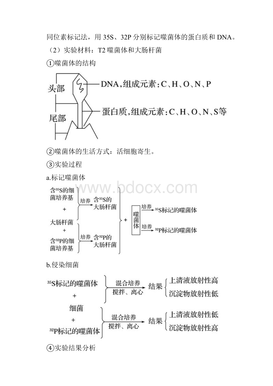 高考生物二轮复习讲练测 专题07遗传的分子基础讲.docx_第3页