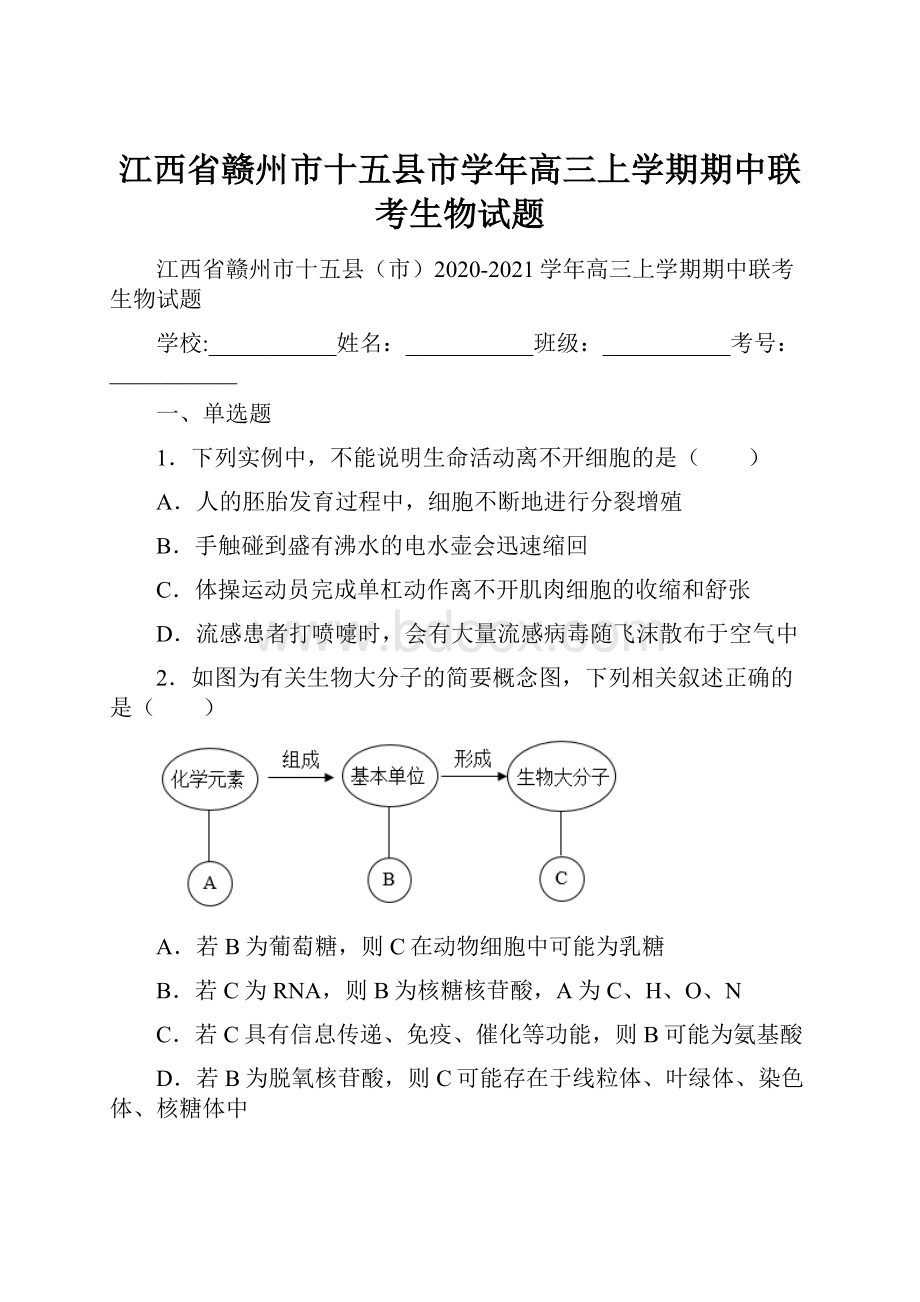 江西省赣州市十五县市学年高三上学期期中联考生物试题.docx