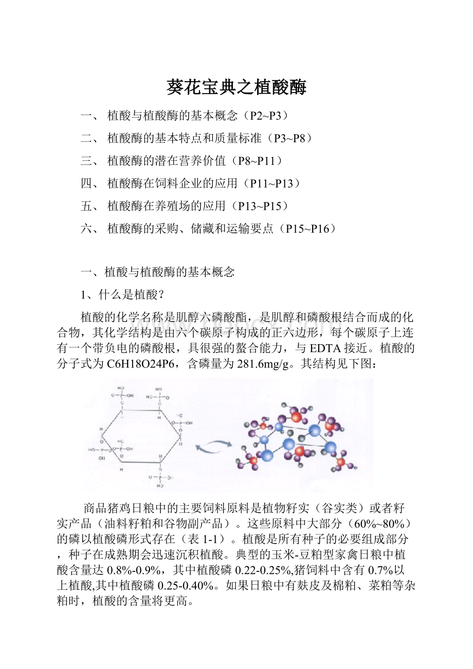 葵花宝典之植酸酶Word格式.docx