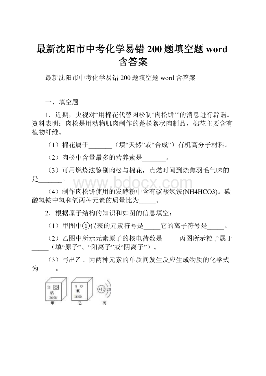 最新沈阳市中考化学易错200题填空题word含答案Word格式文档下载.docx_第1页