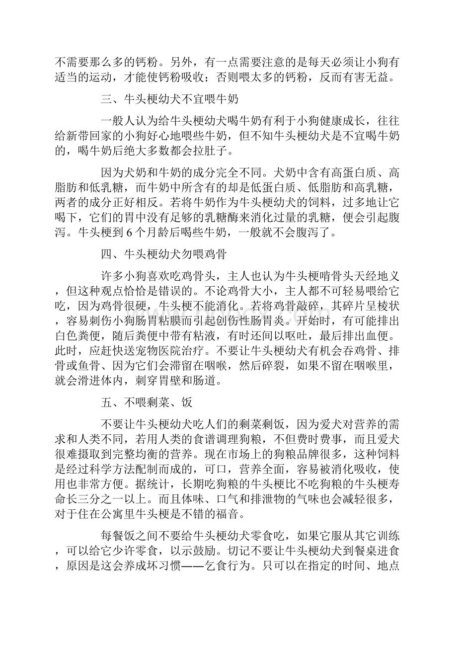 牛头梗好养吗Word下载.docx_第2页