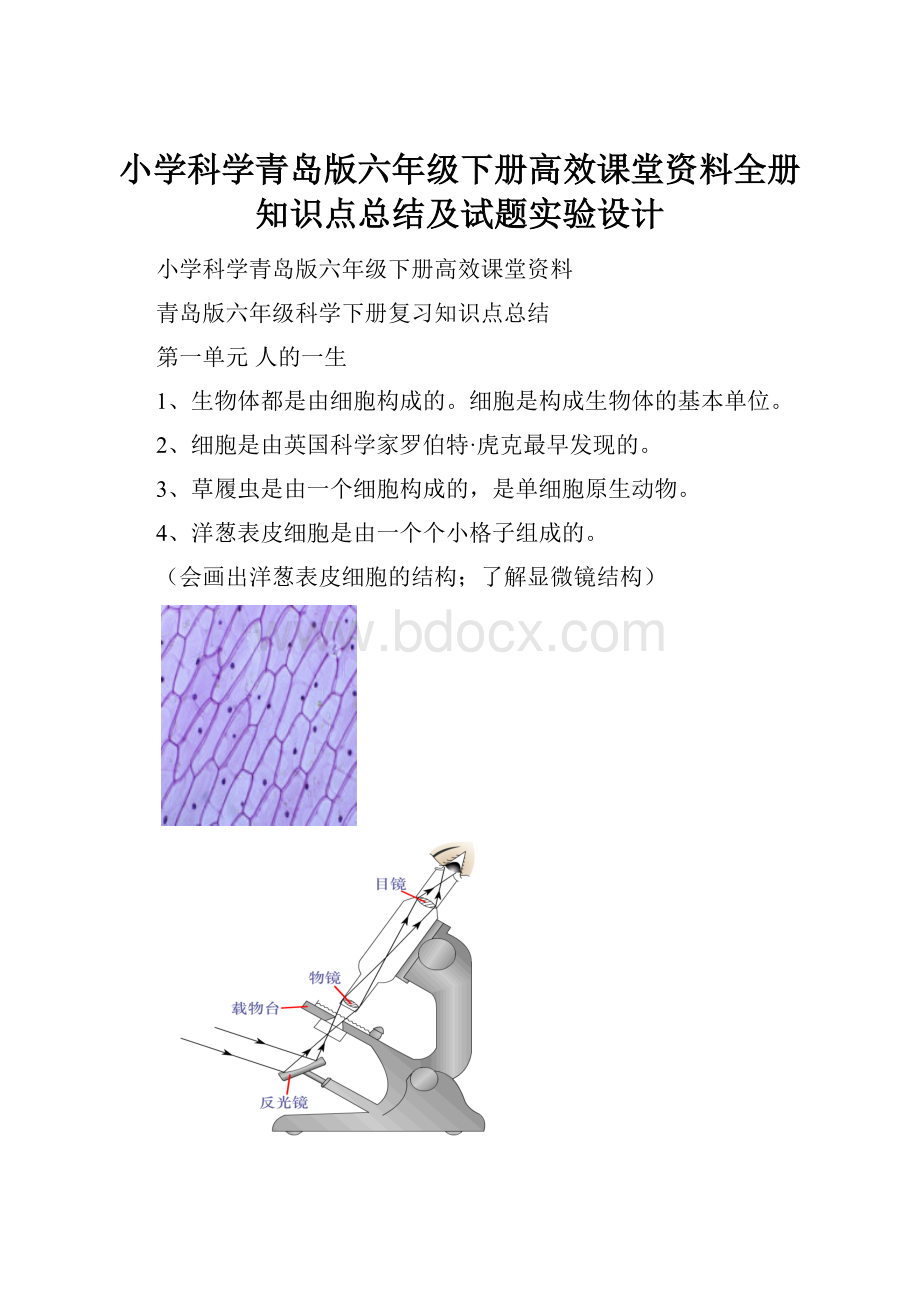 小学科学青岛版六年级下册高效课堂资料全册知识点总结及试题实验设计.docx_第1页