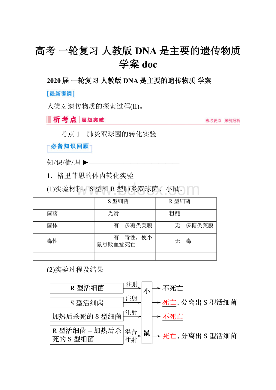 高考 一轮复习人教版DNA是主要的遗传物质学案doc.docx