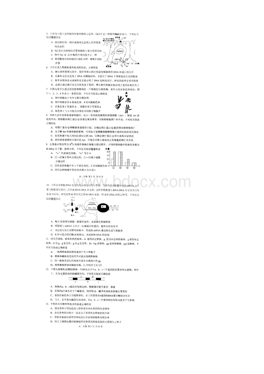 学年江苏省苏州市高二下学期学业质量阳光指标调研生物试题 扫描版.docx_第2页