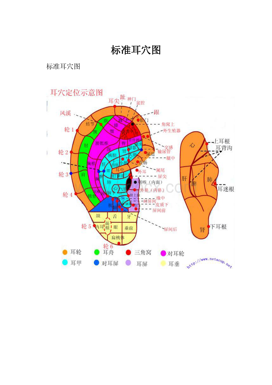 标准耳穴图Word格式文档下载.docx