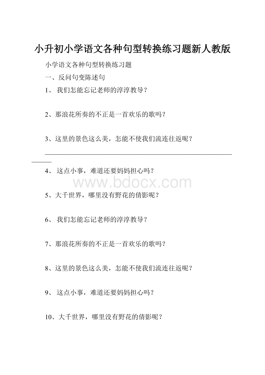 小升初小学语文各种句型转换练习题新人教版Word文件下载.docx_第1页