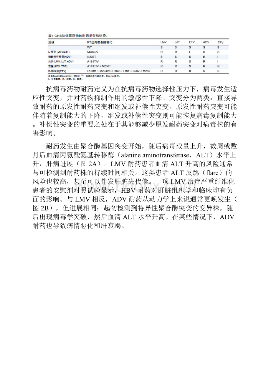 慢性乙型肝炎治疗失败的处理上doc.docx_第3页