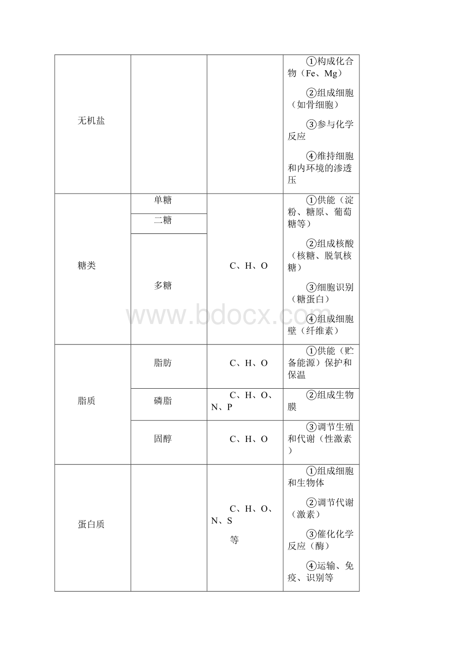 高三生物知识点总结Word格式.docx_第2页