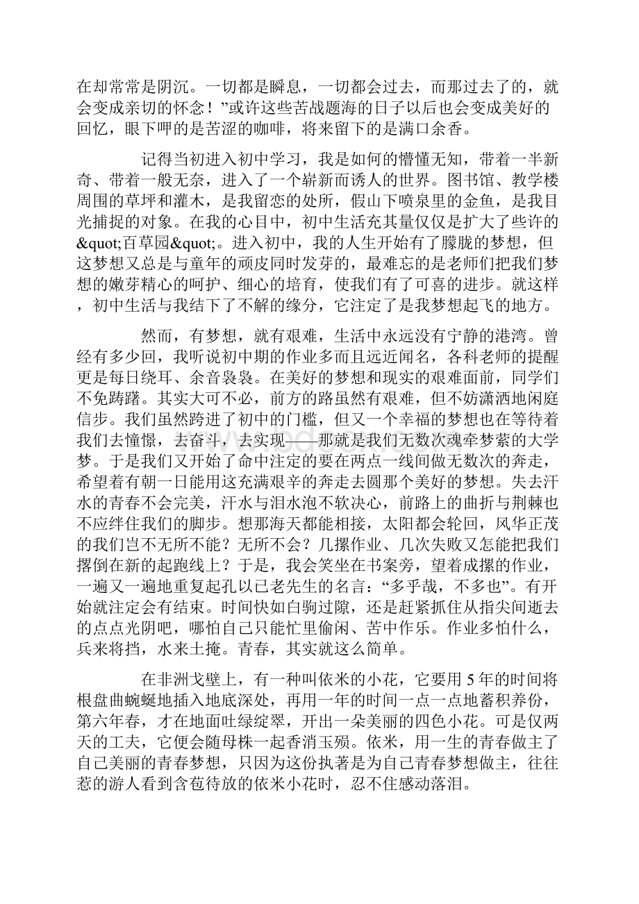 我的青春梦想作文精选5篇Word格式文档下载.docx_第3页