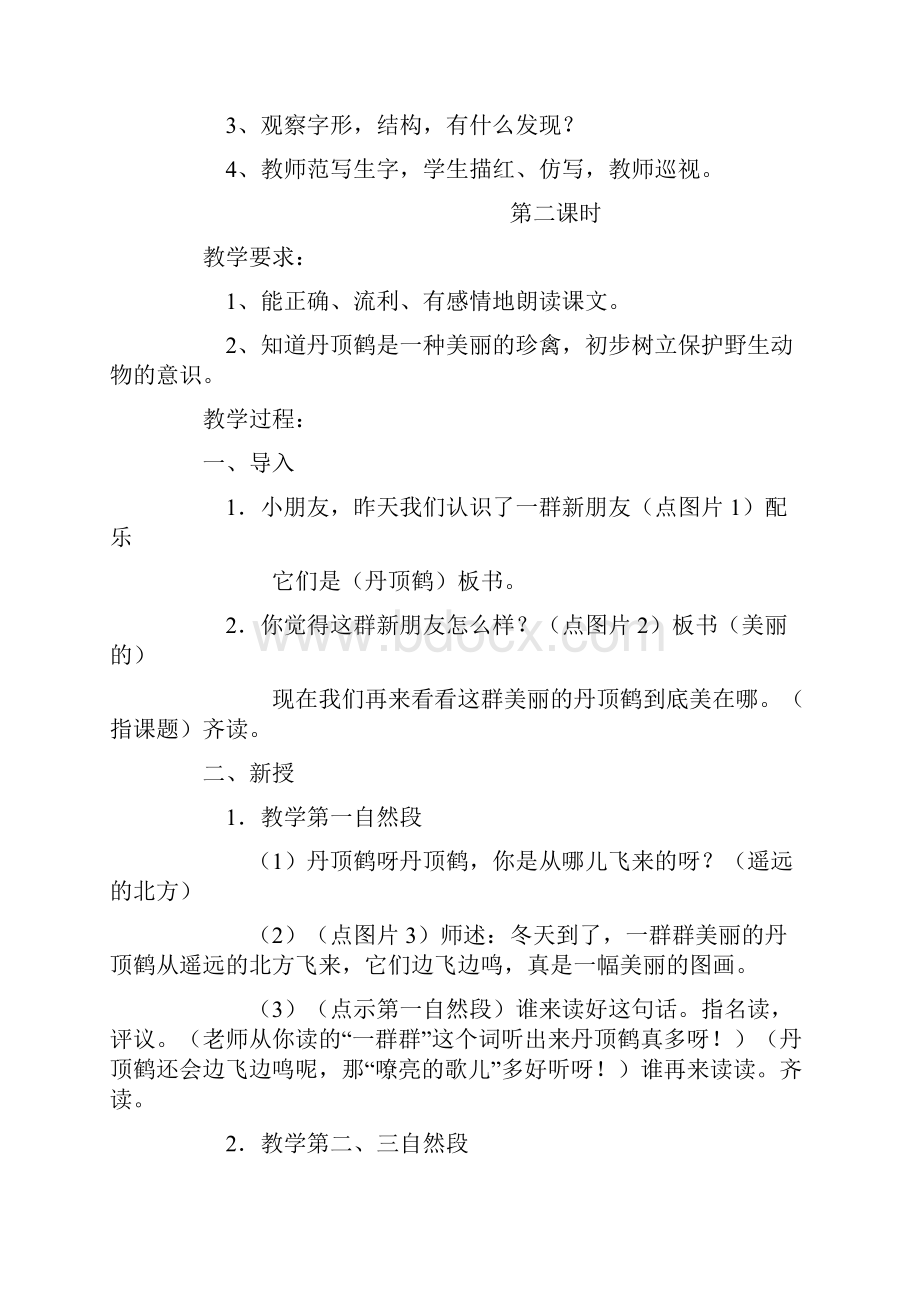 美丽的丹顶鹤Word文档下载推荐.docx_第3页