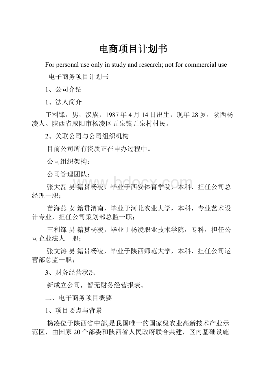 电商项目计划书Word下载.docx_第1页