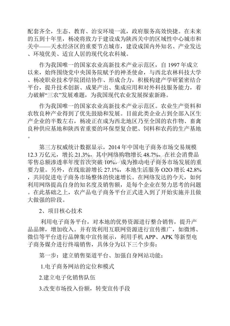 电商项目计划书Word下载.docx_第2页