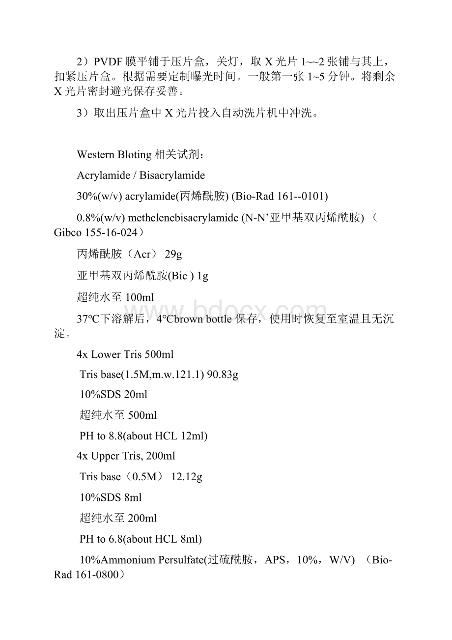 整理WesternBlottingProtocol中山大学参考.docx_第3页