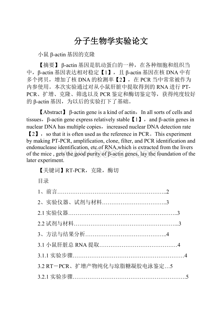 分子生物学实验论文.docx_第1页