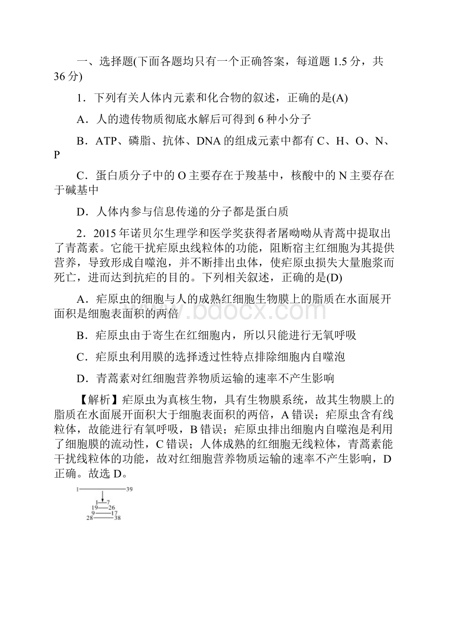 届湖南师大附中高三第二次月考试题 生物解析版.docx_第2页