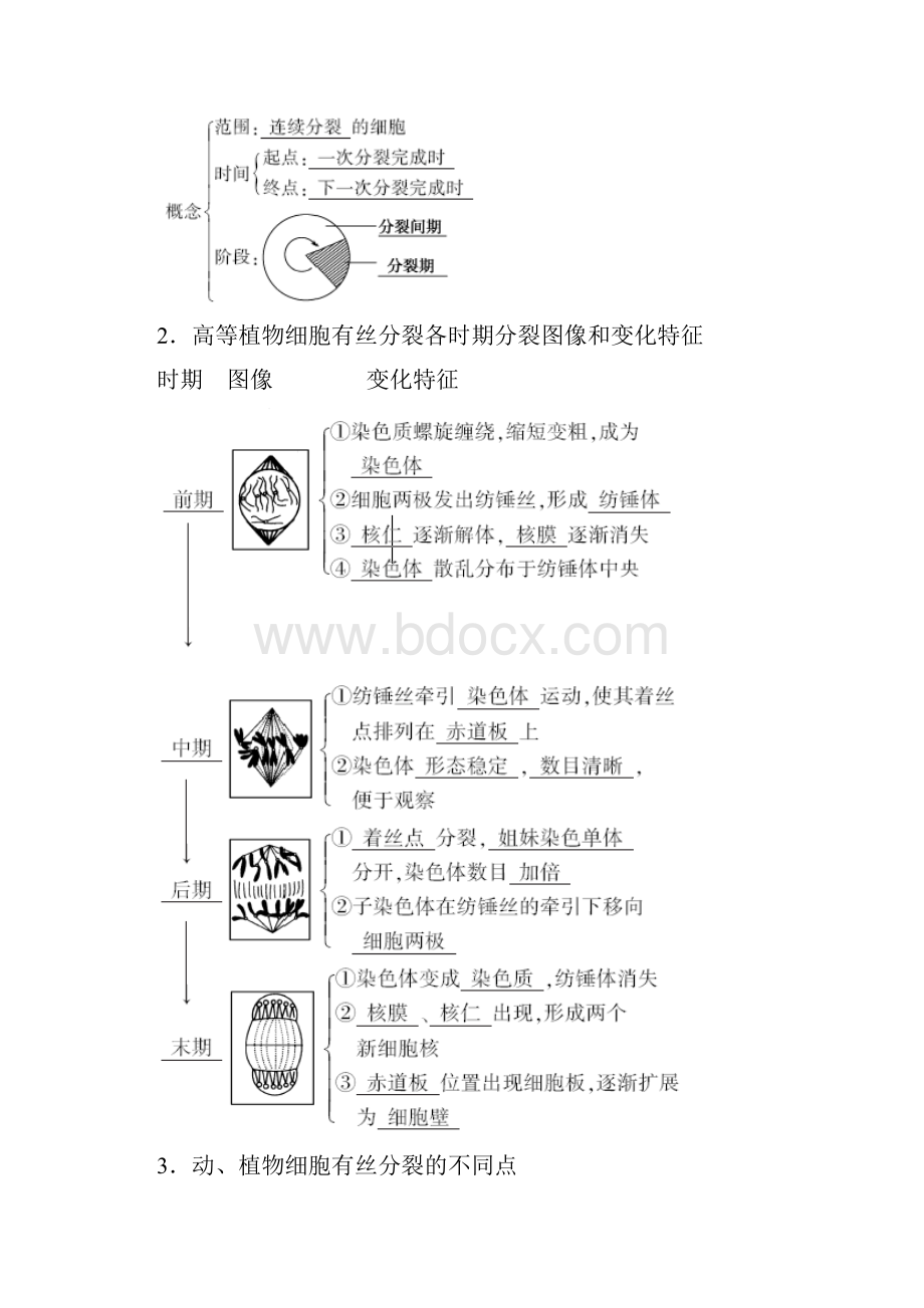 秋高中生物第六章细胞的生命历程第1节细胞的增殖学案新人教版必修1文档格式.docx_第3页