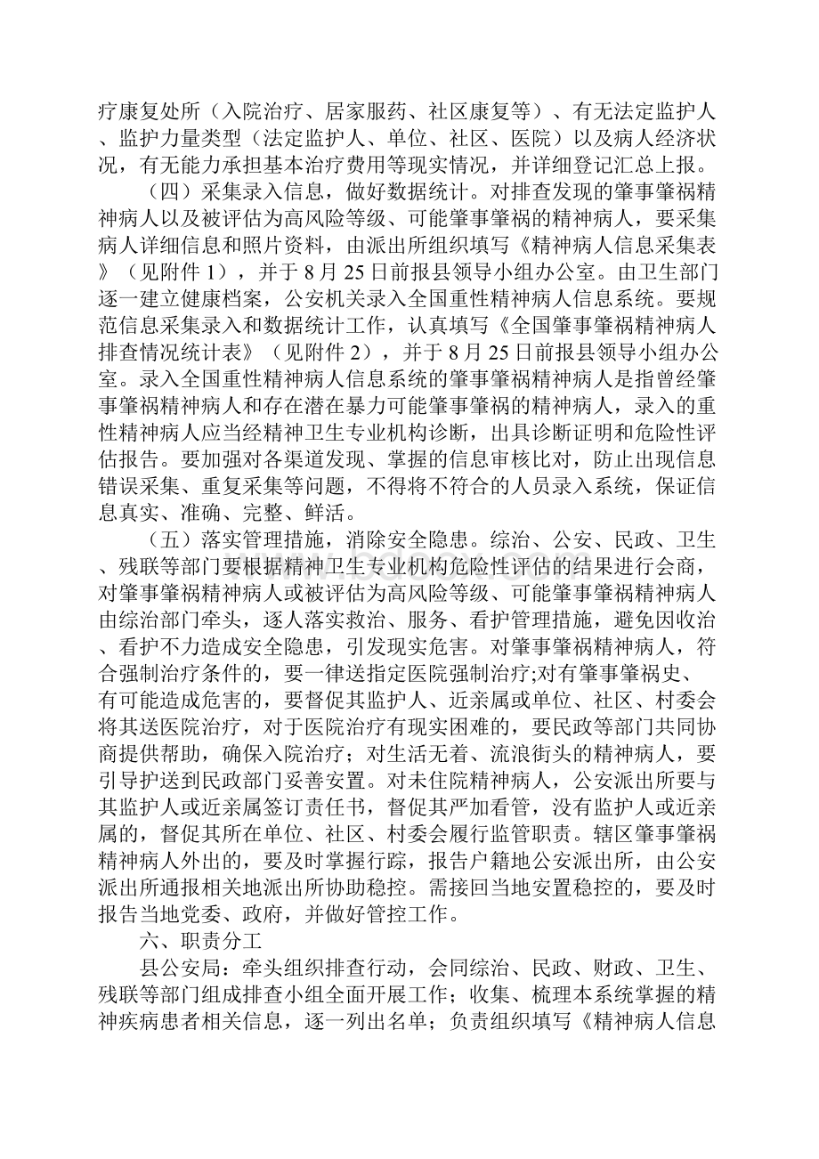 肇事肇祸精神病人排查行动方案.docx_第3页