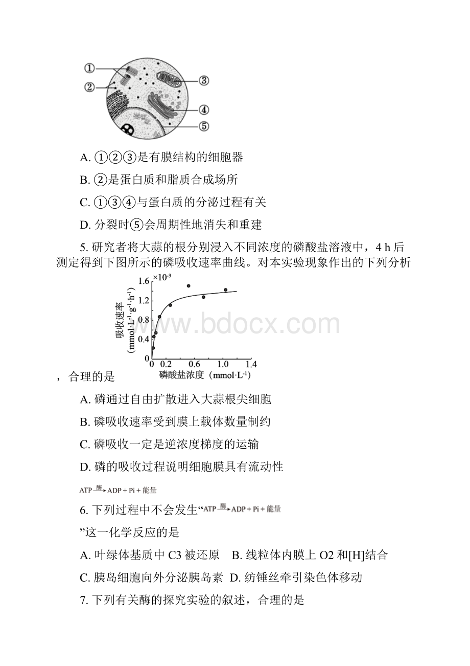 北京101中学学年高二下学期期末考试生物试题 Word版含答案.docx_第2页