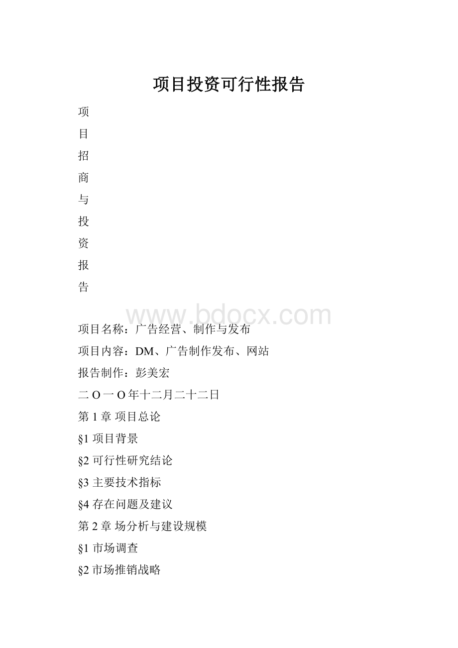 项目投资可行性报告Word文档格式.docx