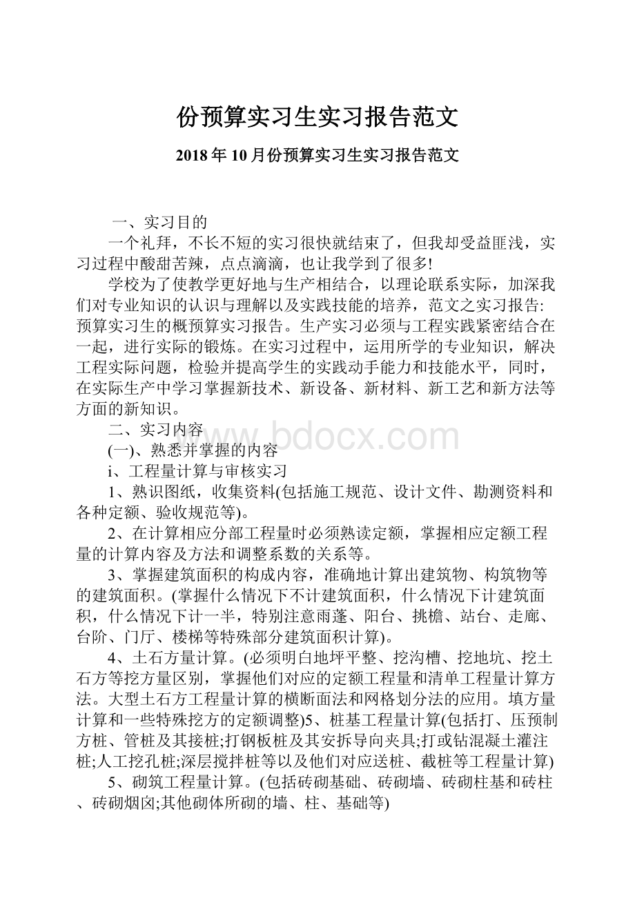 份预算实习生实习报告范文Word下载.docx