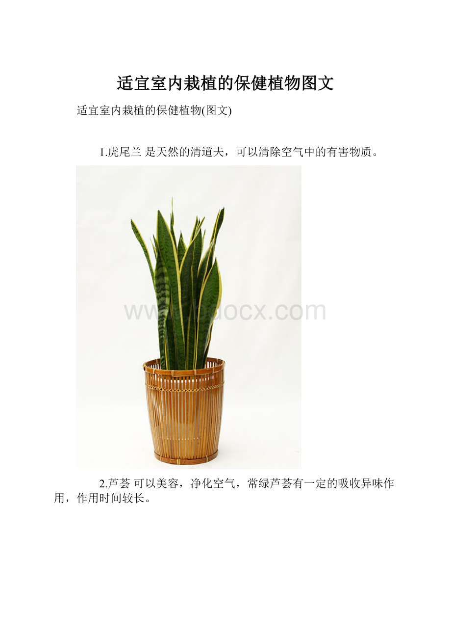 适宜室内栽植的保健植物图文.docx