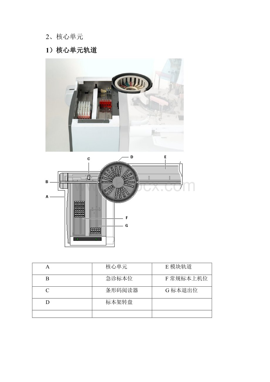 Cobasc501分析仪用户操作手册可编辑修改word版.docx_第2页