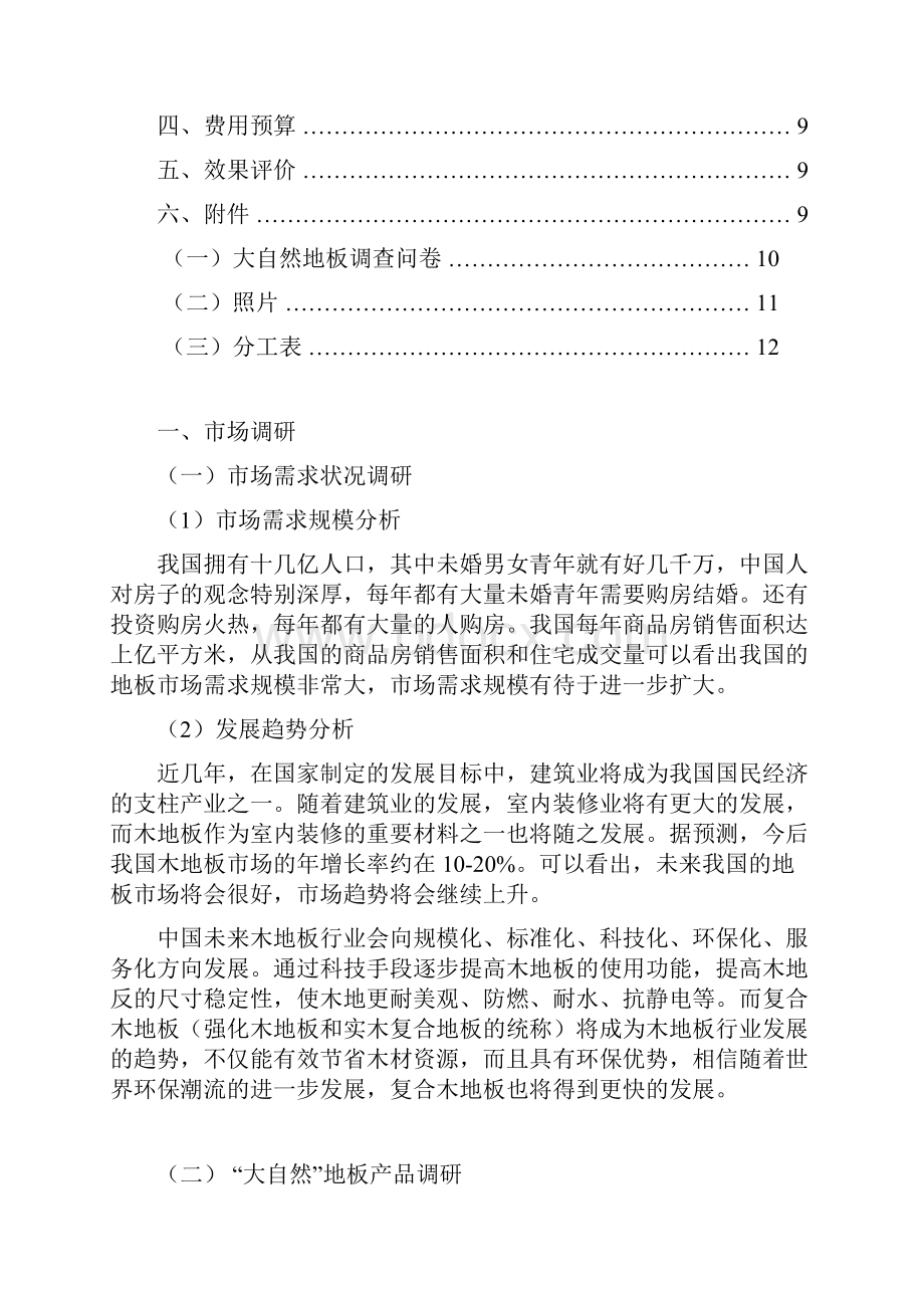 大自然品牌木地板区域市场运营策划.docx_第2页