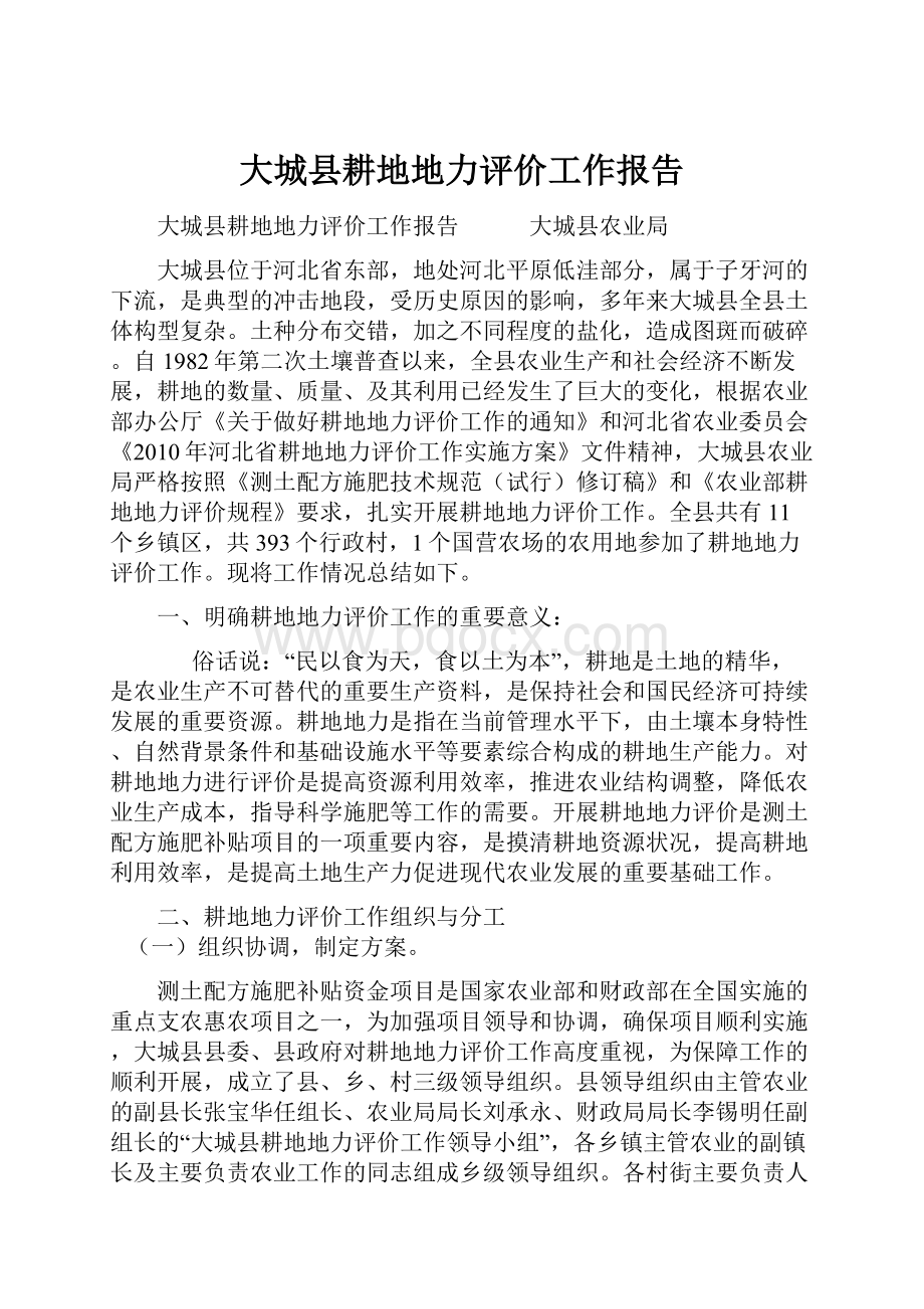 大城县耕地地力评价工作报告Word格式.docx_第1页