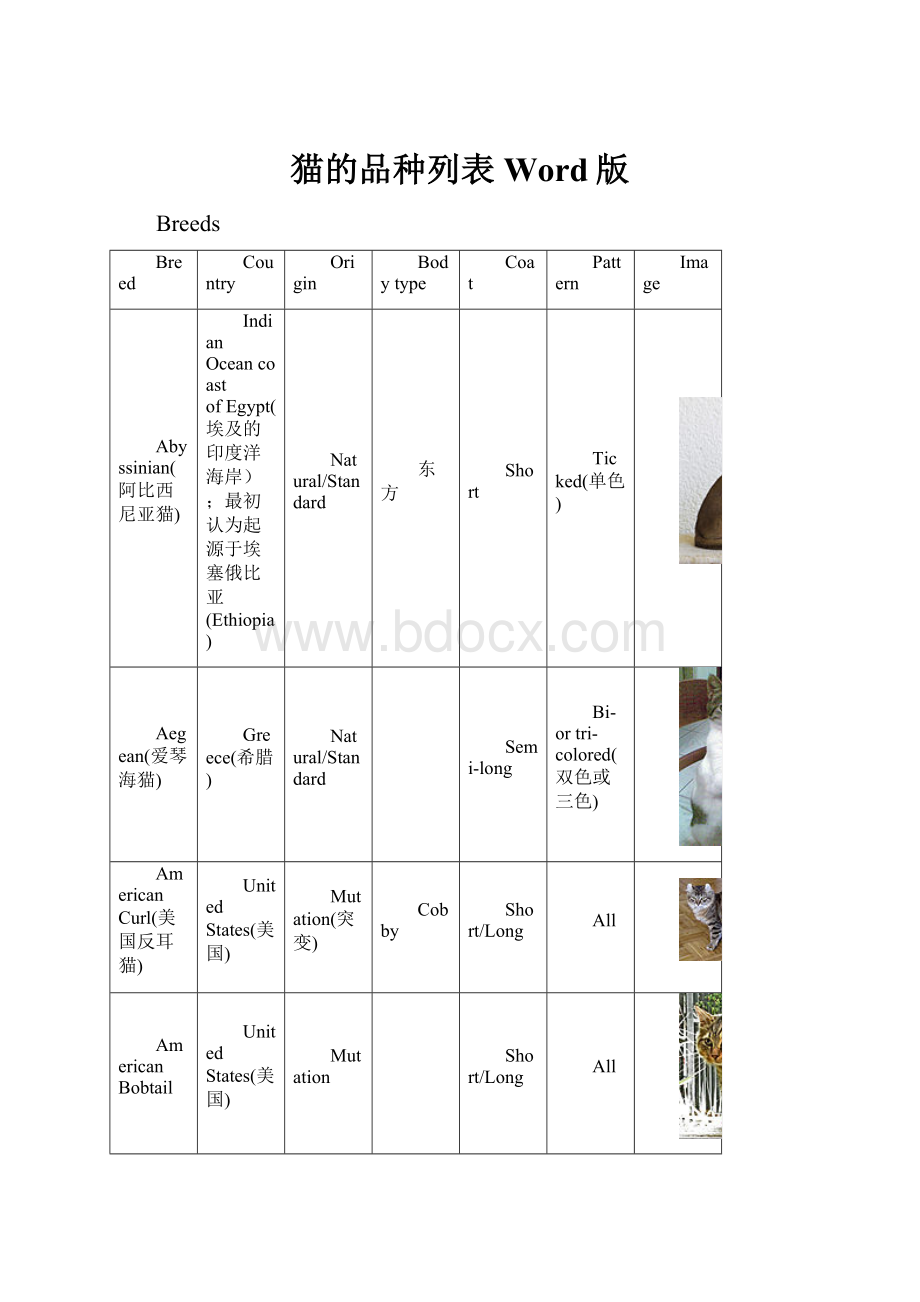 猫的品种列表Word版.docx_第1页