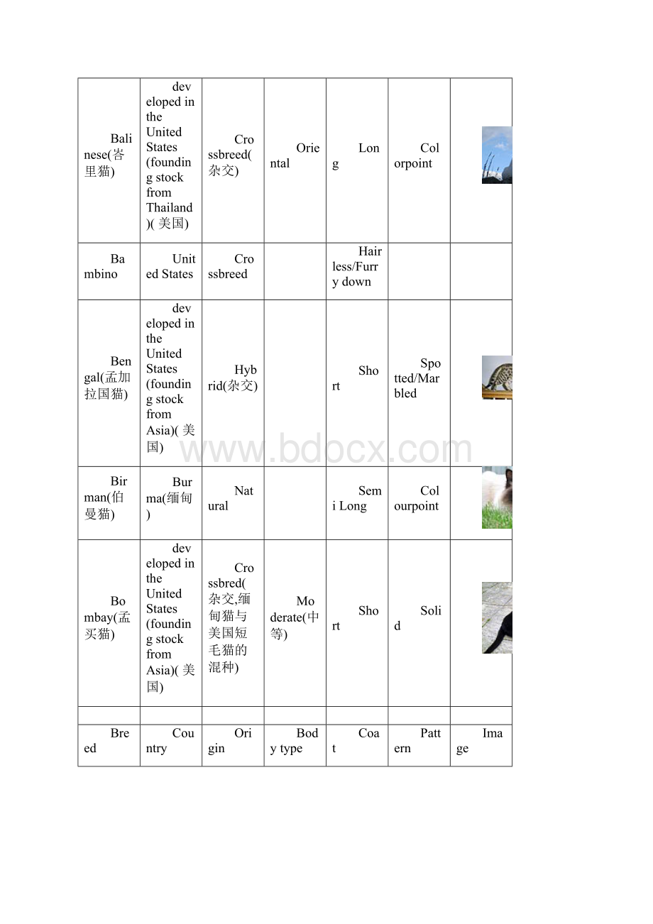 猫的品种列表Word版.docx_第3页