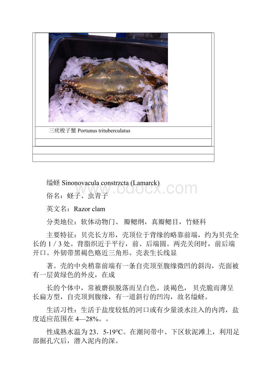 海洋生物作业第一部分解析.docx_第2页