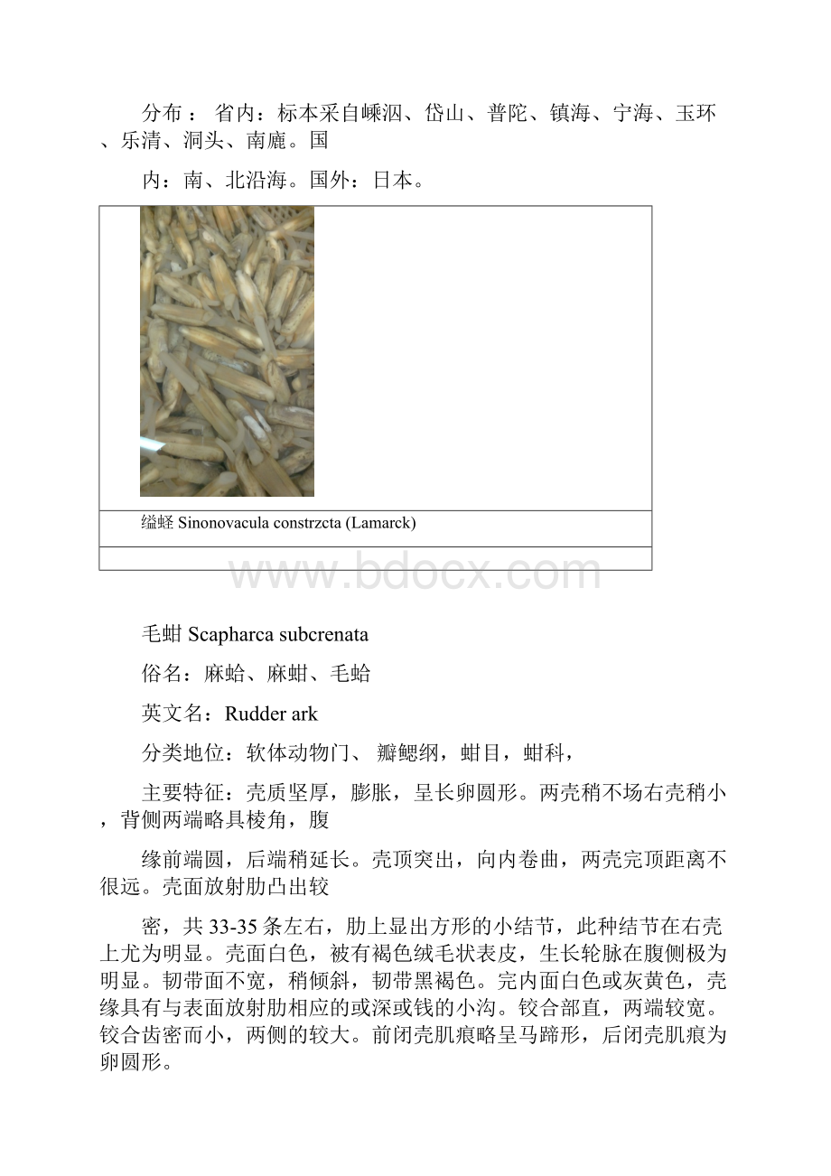 海洋生物作业第一部分解析.docx_第3页