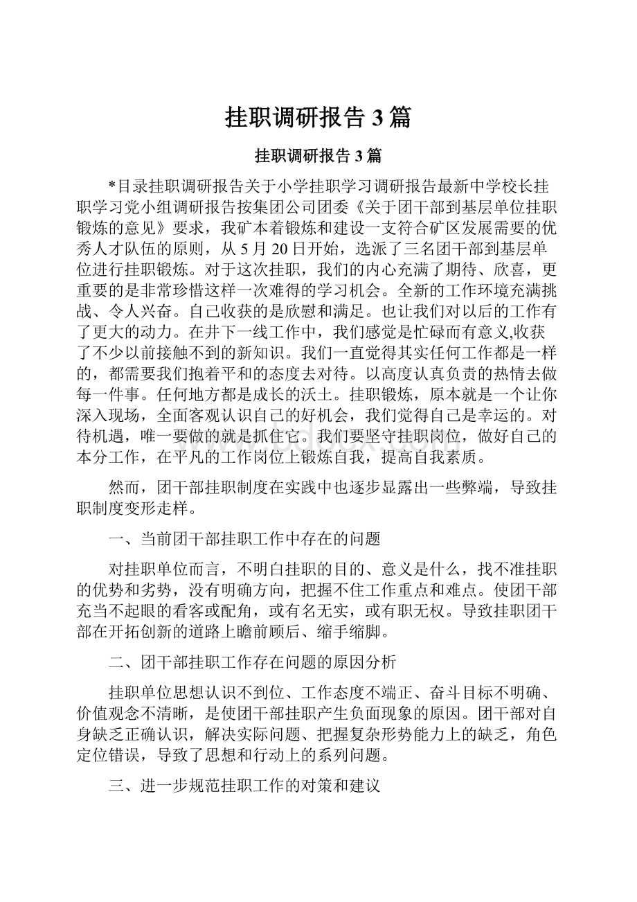 挂职调研报告3篇文档格式.docx