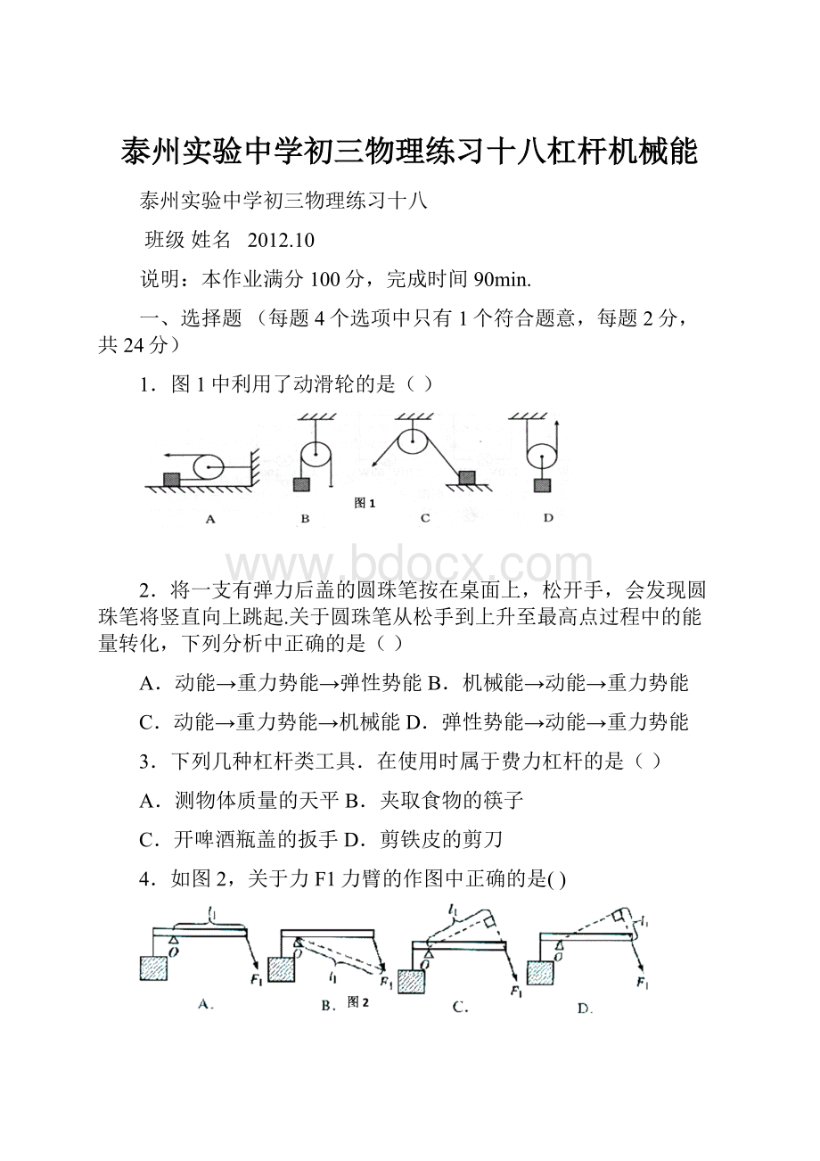 泰州实验中学初三物理练习十八杠杆机械能.docx