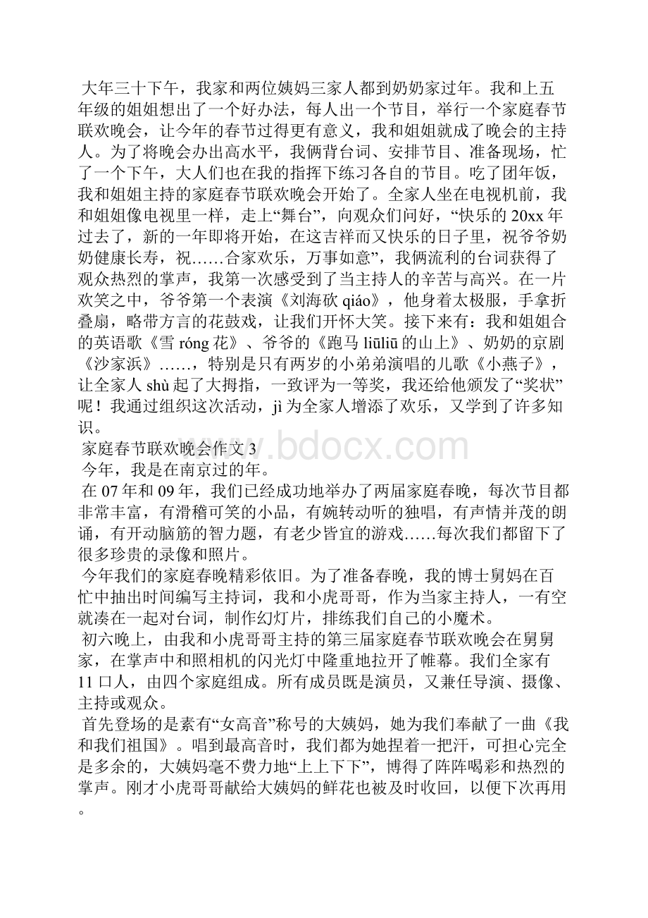 家庭春节联欢晚会作文Word文件下载.docx_第2页