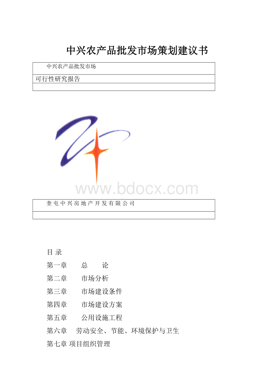 中兴农产品批发市场策划建议书.docx_第1页