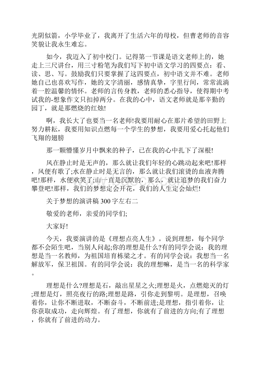 关于梦想的演讲稿300字左右.docx_第2页