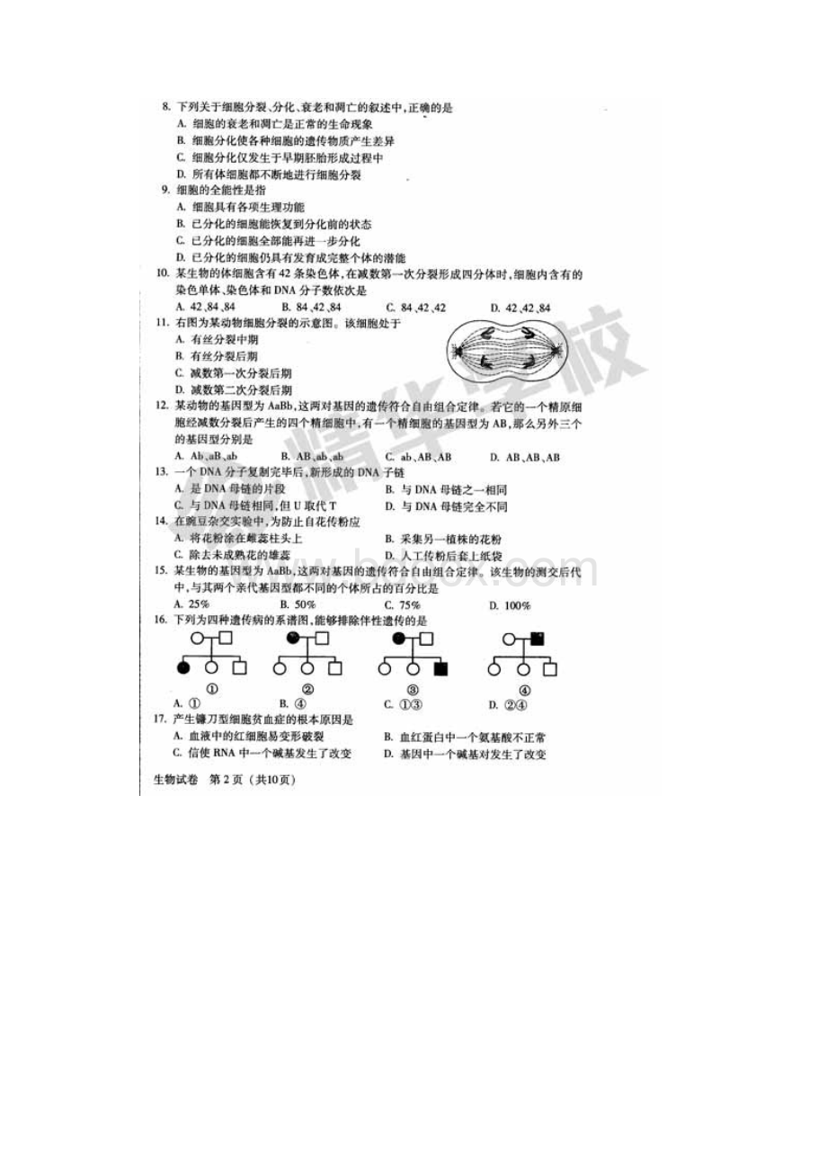 北京市春季普通高中会考生物扫描版Word文档下载推荐.docx_第2页