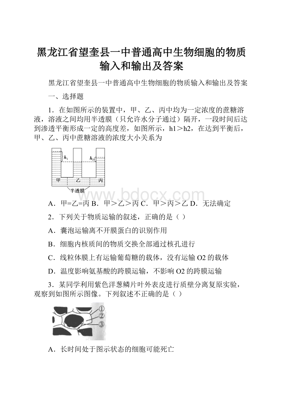 黑龙江省望奎县一中普通高中生物细胞的物质输入和输出及答案.docx_第1页