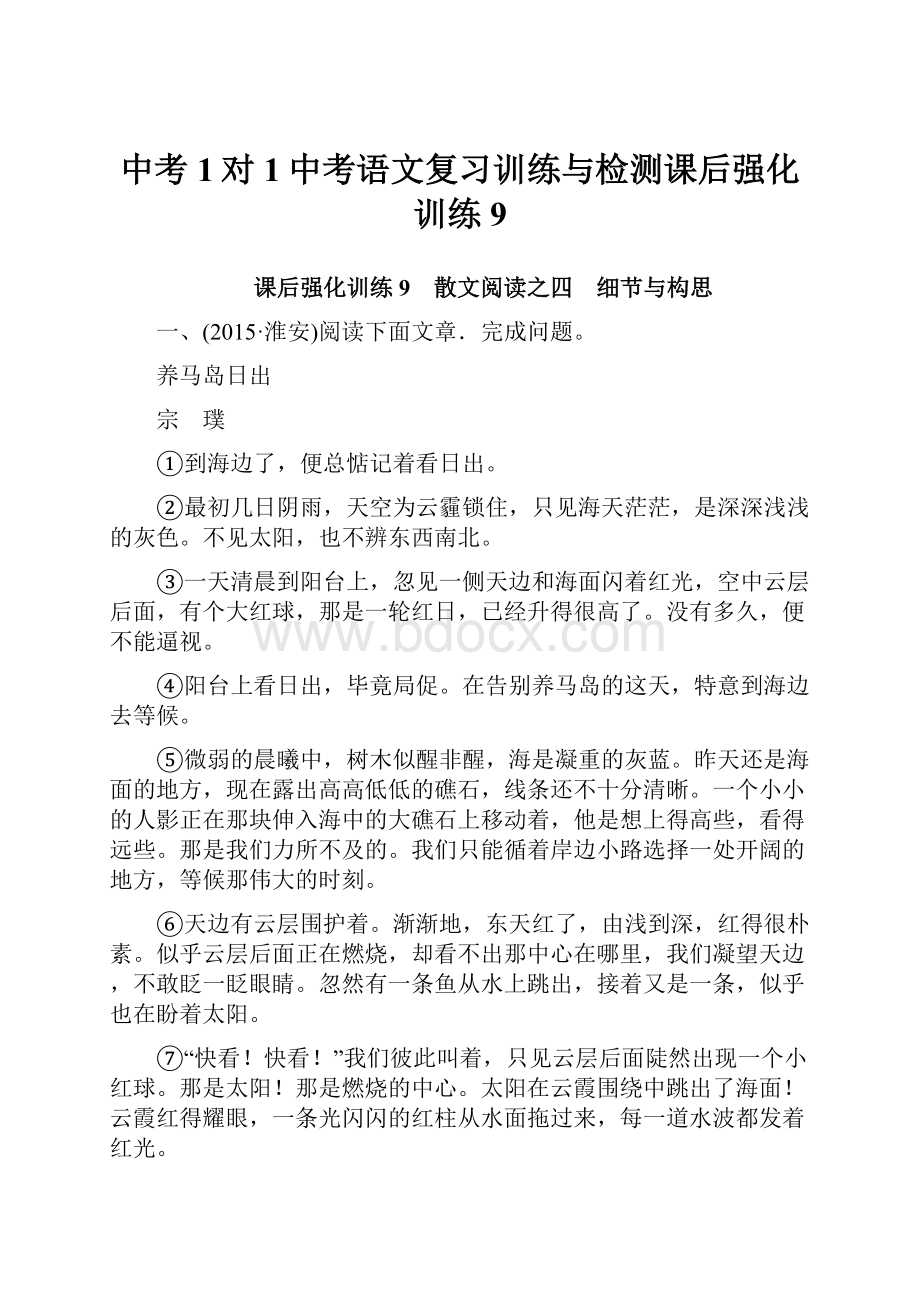 中考1对1中考语文复习训练与检测课后强化训练9.docx_第1页