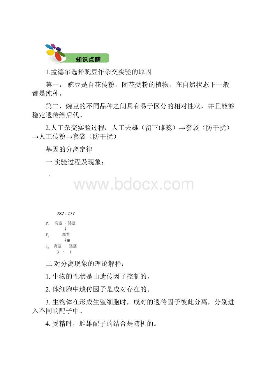 高三生物遗传规律Word文件下载.docx_第3页